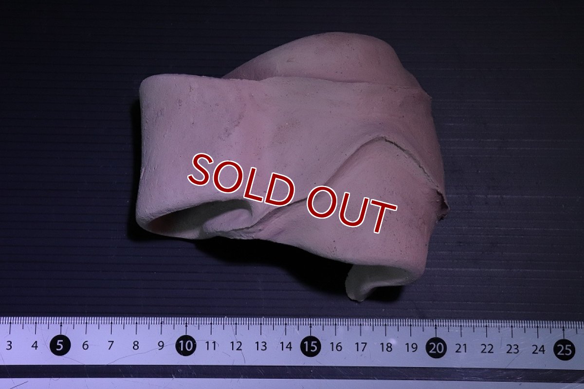 画像6: 【熱帯魚 シェルター】シェルタクラフタ 勾玉シェルター【1個 サンプル画像】(淡水) (6)