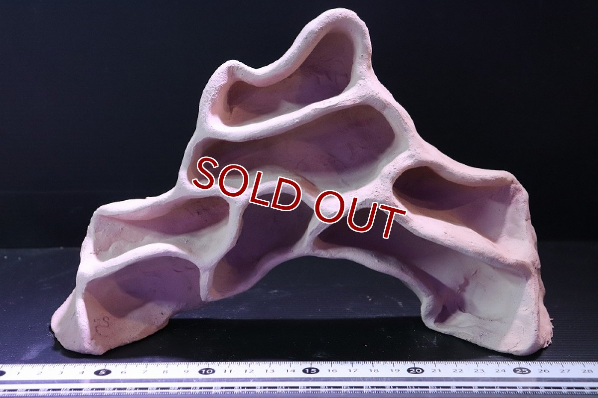 画像2: 【熱帯魚 シェルター】シェルタクラフタ アリの巣型シェルター【1個 サンプル画像】(淡水) (2)