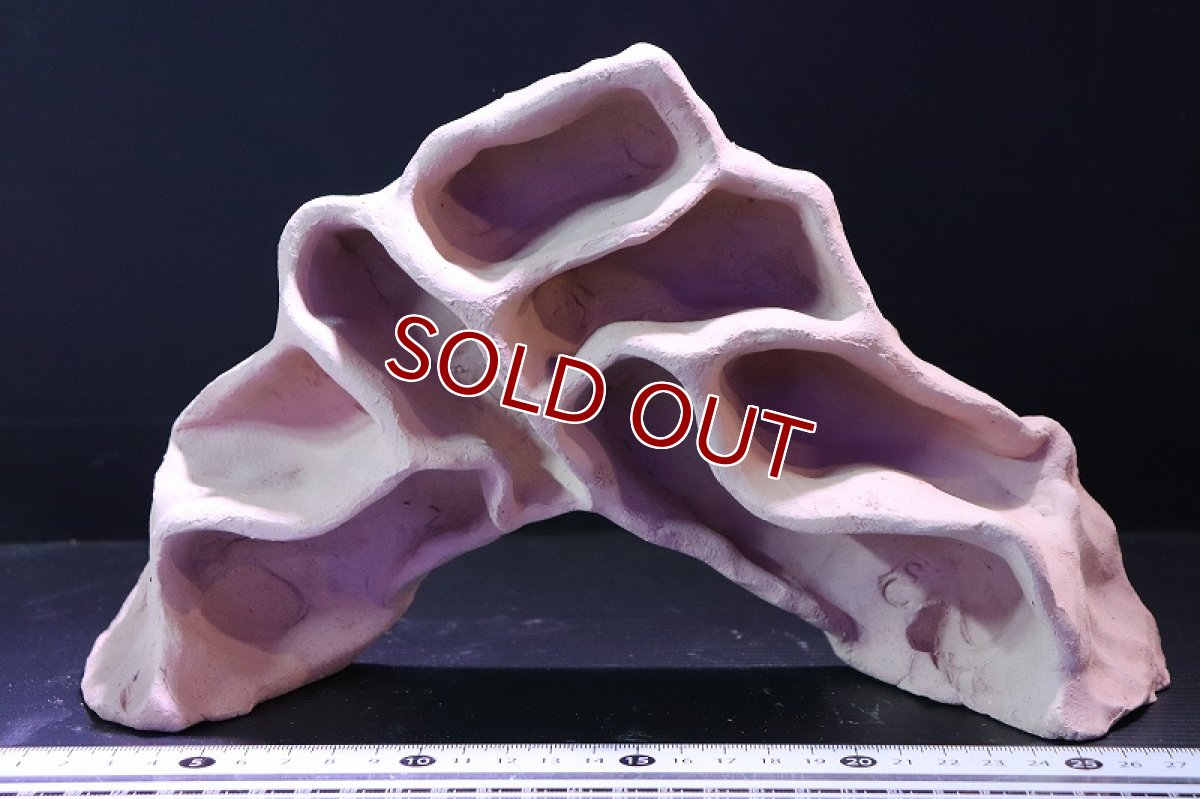 画像3: 【熱帯魚 シェルター】シェルタクラフタ アリの巣型シェルター【1個 サンプル画像】(淡水) (3)