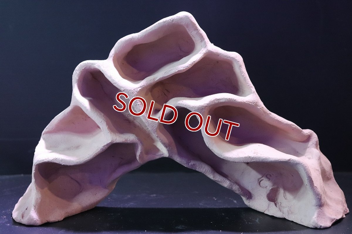 画像4: 【熱帯魚 シェルター】シェルタクラフタ アリの巣型シェルター【1個 サンプル画像】(淡水) (4)