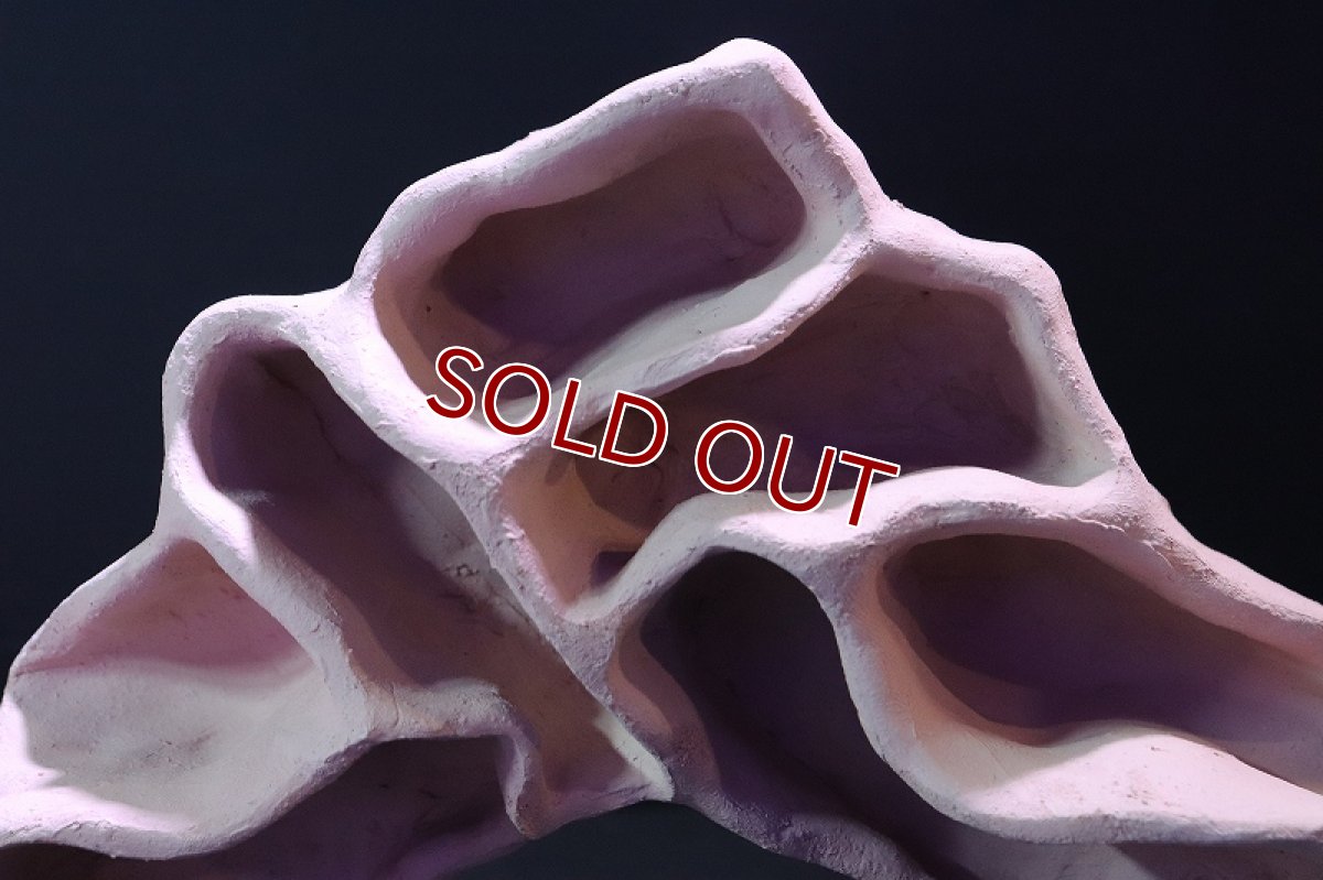 画像5: 【熱帯魚 シェルター】シェルタクラフタ アリの巣型シェルター【1個 サンプル画像】(淡水) (5)