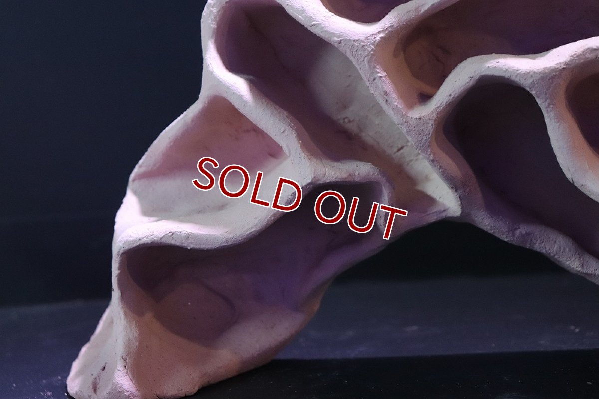 画像6: 【熱帯魚 シェルター】シェルタクラフタ アリの巣型シェルター【1個 サンプル画像】(淡水) (6)