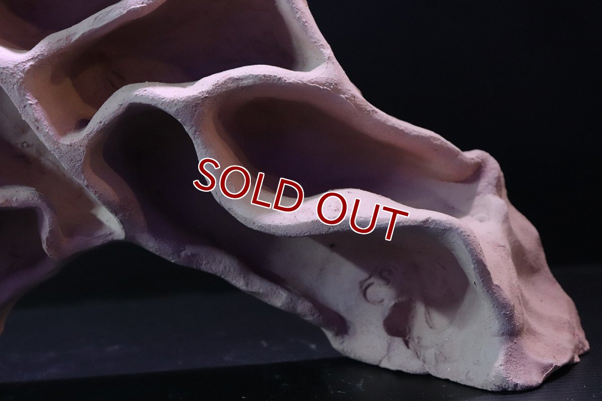 画像7: 【熱帯魚 シェルター】シェルタクラフタ アリの巣型シェルター【1個 サンプル画像】(淡水) (7)