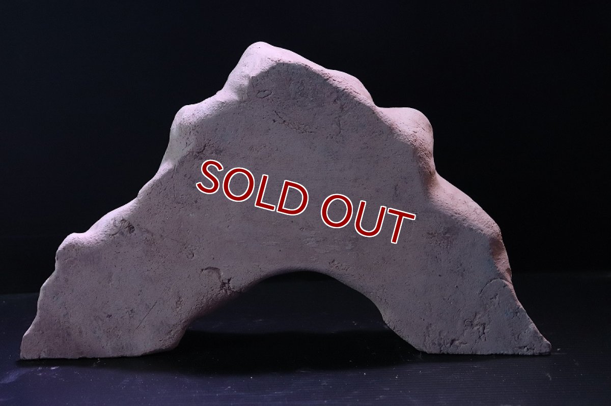 画像8: 【熱帯魚 シェルター】シェルタクラフタ アリの巣型シェルター【1個 サンプル画像】(淡水) (8)