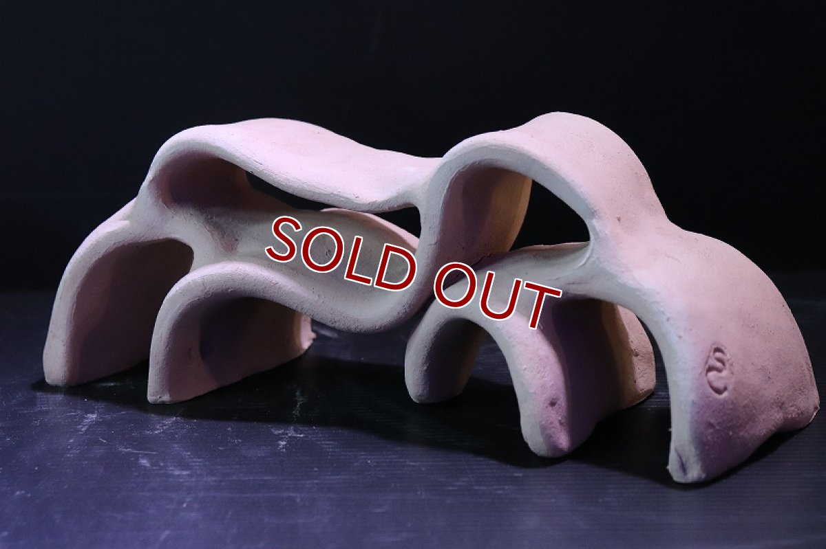 画像5: 【熱帯魚 シェルター】シェルタクラフタ 基本型 LMサイズ シェルター【1個 サンプル画像】(淡水) (5)