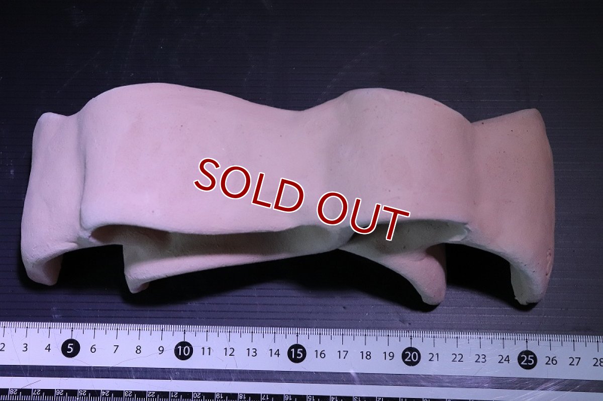 画像6: 【熱帯魚 シェルター】シェルタクラフタ 基本型 LMサイズ シェルター【1個 サンプル画像】(淡水) (6)