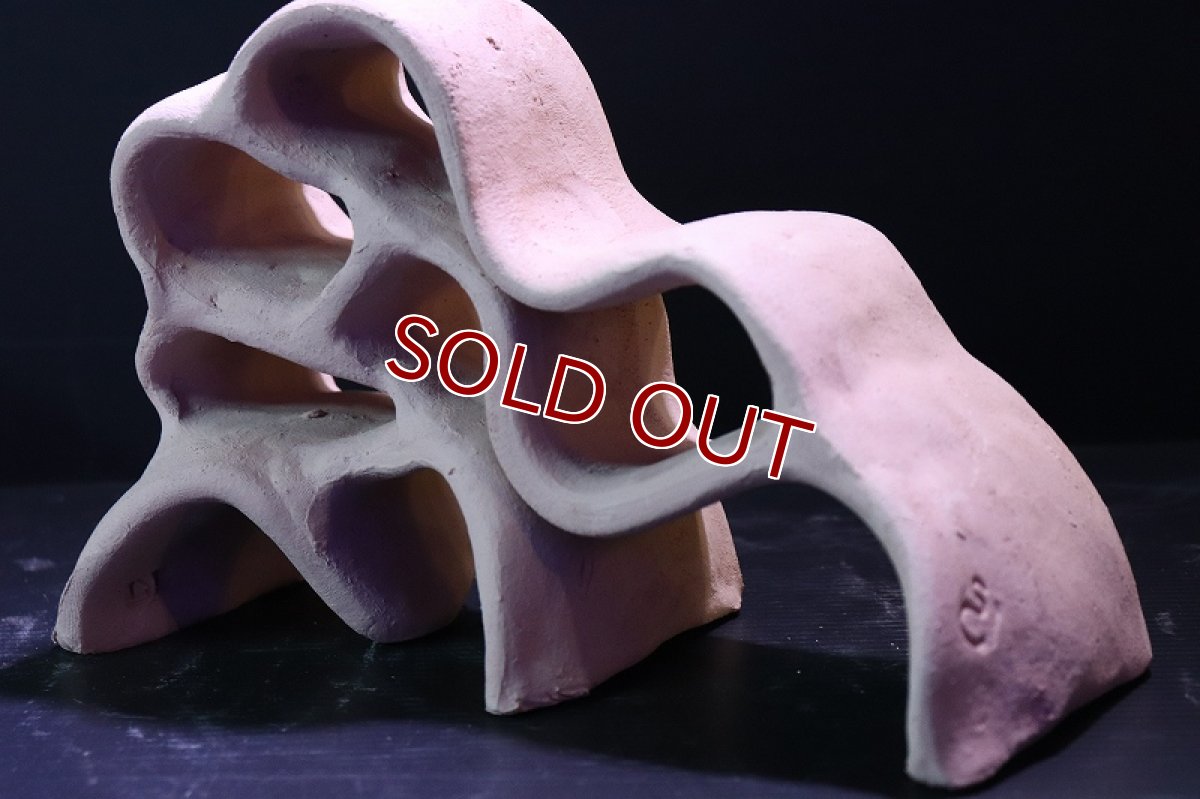 画像5: 【熱帯魚 シェルター】シェルタクラフタ 基本型 LLサイズ シェルター【1個 サンプル画像】(淡水) (5)