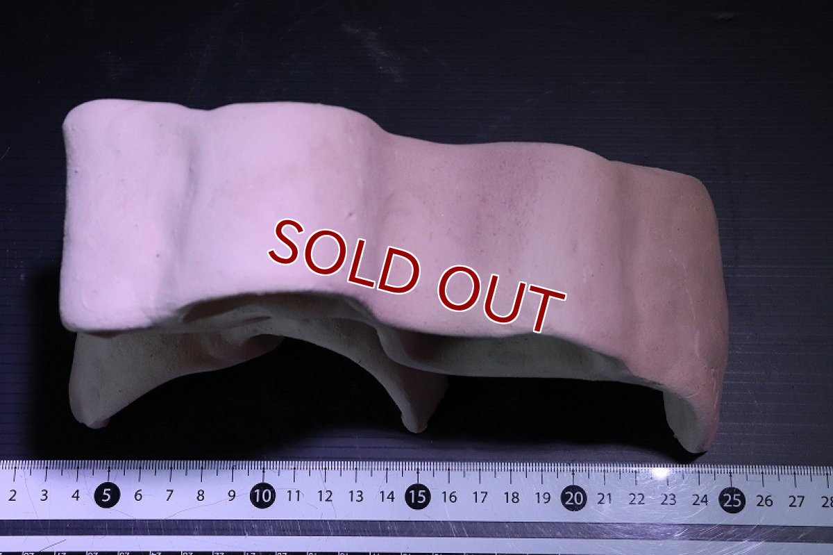 画像6: 【熱帯魚 シェルター】シェルタクラフタ 基本型 LLサイズ シェルター【1個 サンプル画像】(淡水) (6)