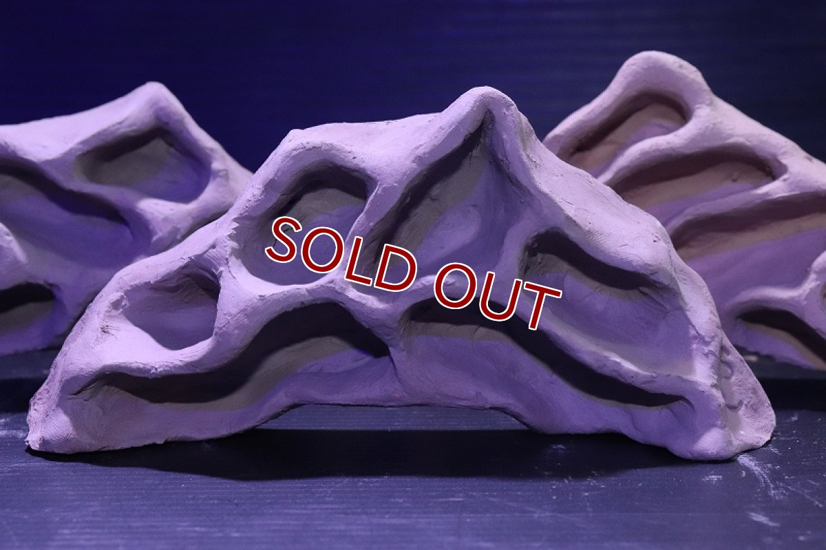 画像2: シェルタクラフタ アリの巣型Sサイズ シェルター【1個 サンプル画像】(淡水) (2)