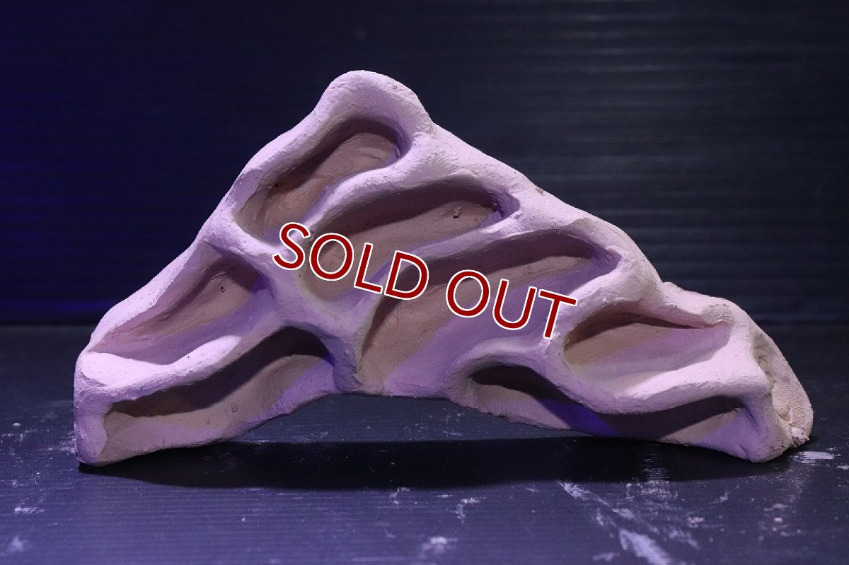 画像3: シェルタクラフタ アリの巣型Sサイズ シェルター【1個 サンプル画像】(淡水) (3)