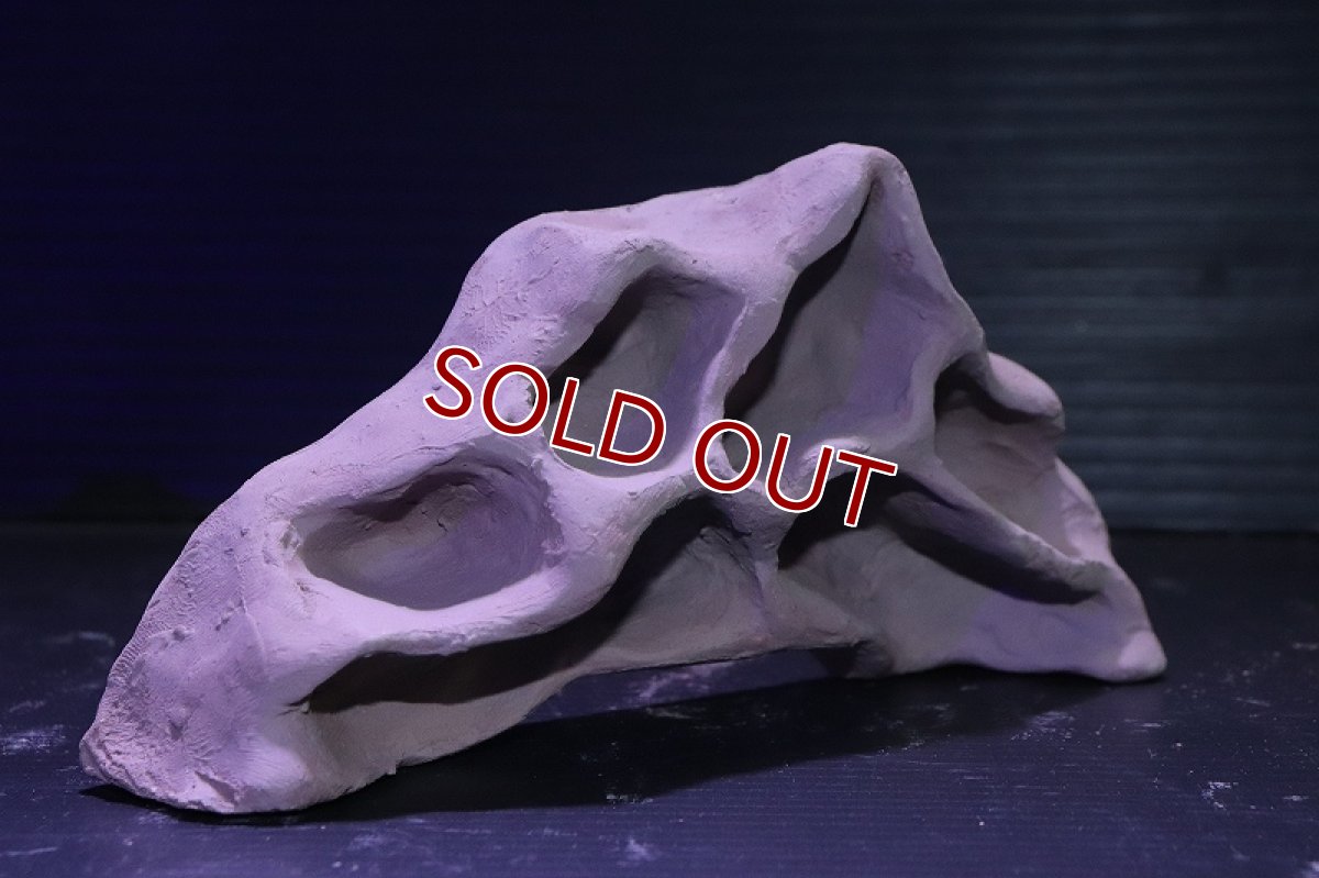 画像4: シェルタクラフタ アリの巣型Sサイズ シェルター【1個 サンプル画像】(淡水) (4)