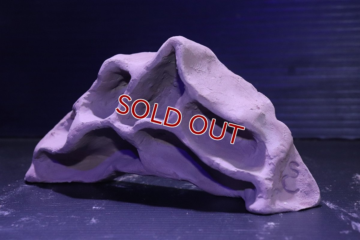 画像5: シェルタクラフタ アリの巣型Sサイズ シェルター【1個 サンプル画像】(淡水) (5)