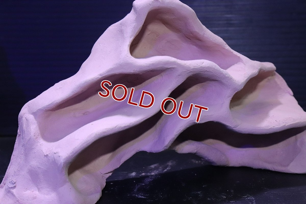 画像4: シェルタクラフタ アリの巣型Mサイズ シェルター【１個 サンプル画像】(淡水) (4)