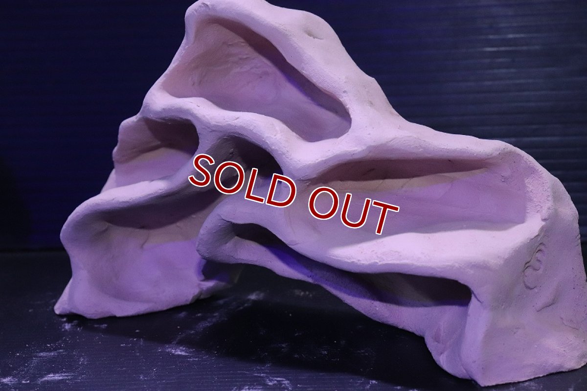 画像5: シェルタクラフタ アリの巣型Mサイズ シェルター【１個 サンプル画像】(淡水) (5)