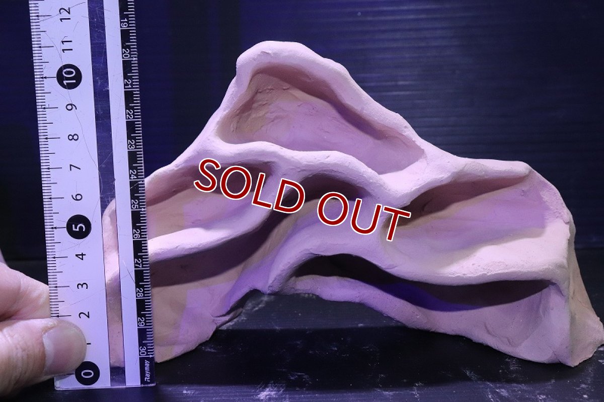 画像6: シェルタクラフタ アリの巣型Mサイズ シェルター【１個 サンプル画像】(淡水) (6)