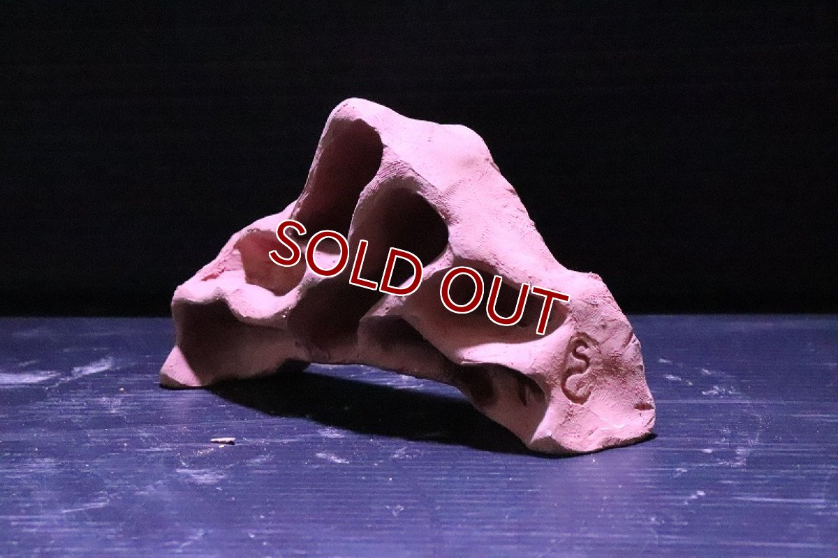 画像4: 【熱帯魚 シェルター】シェルタクラフタ 赤茶タイプ アリの巣型Sサイズ シェルター【1個 サンプル画像】(淡水) (4)