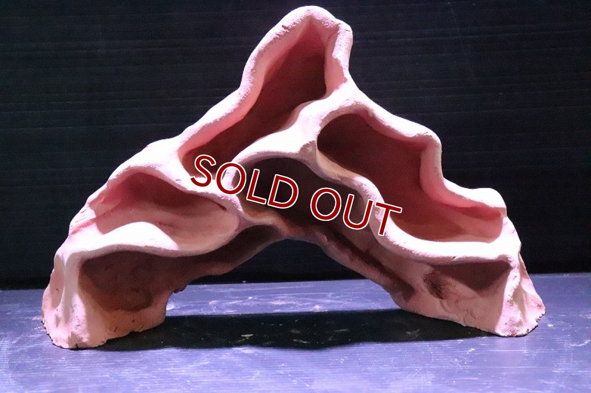 画像2: 【熱帯魚 シェルター】シェルタクラフタ 赤茶タイプ アリの巣型 シェルター【1個 サンプル画像】(淡水) (2)