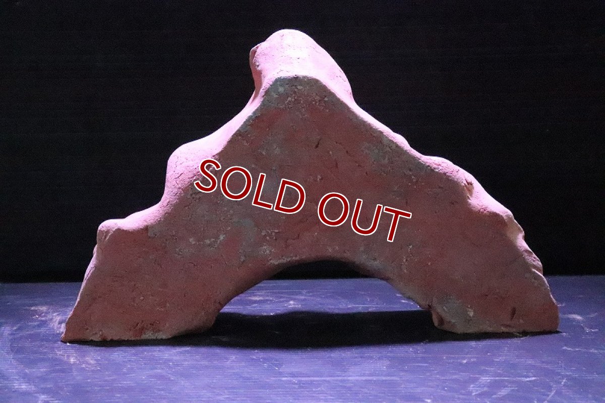 画像5: 【熱帯魚 シェルター】シェルタクラフタ 赤茶タイプ アリの巣型 シェルター【1個 サンプル画像】(淡水) (5)