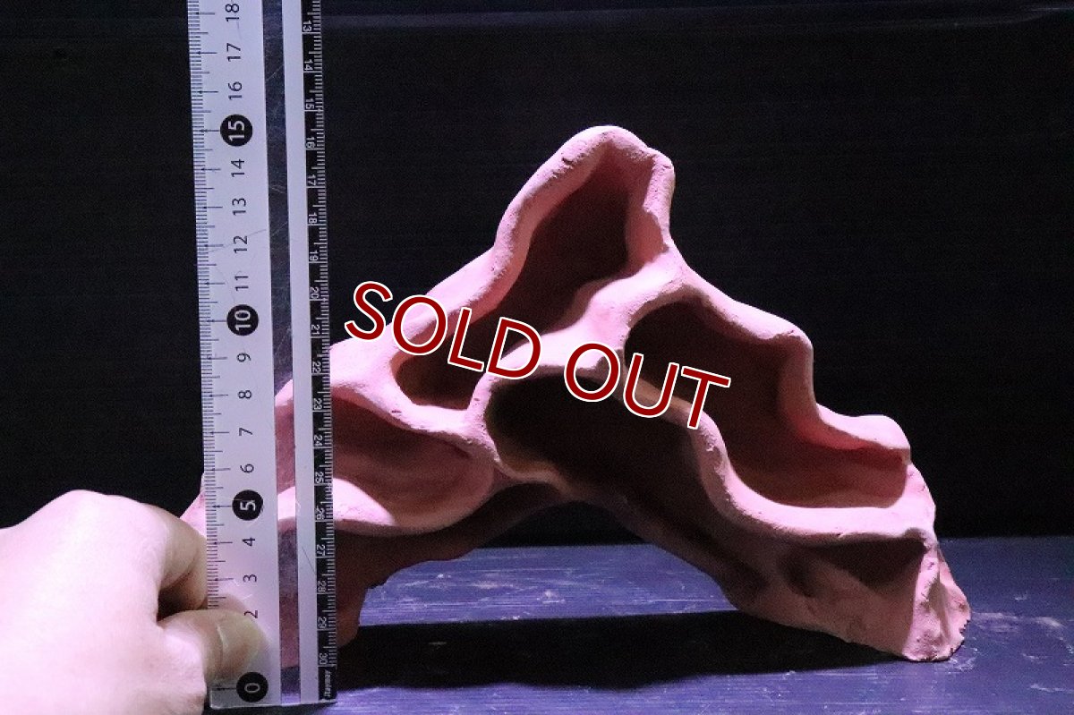 画像6: 【熱帯魚 シェルター】シェルタクラフタ 赤茶タイプ アリの巣型 シェルター【1個 サンプル画像】(淡水) (6)