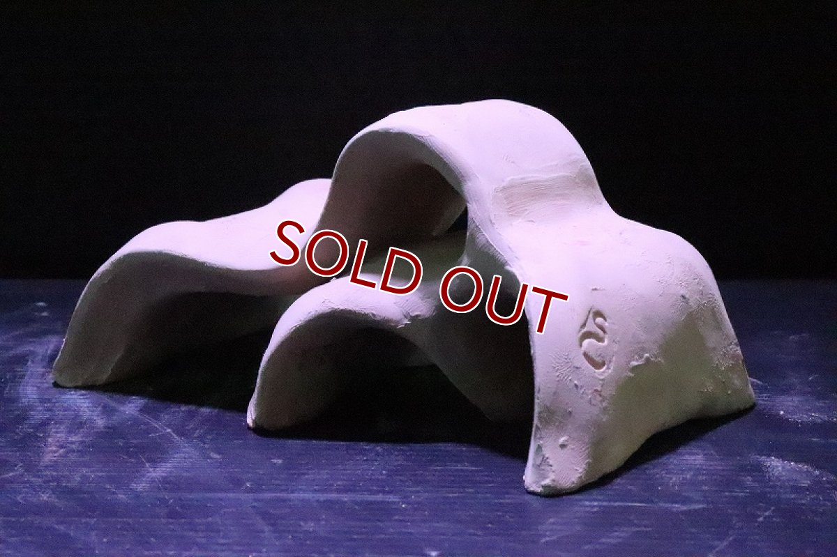 画像4: 【熱帯魚 シェルター】シェルタクラフタ 基本型SSDサイズ シェルター【1個 サンプル画像】(淡水) (4)