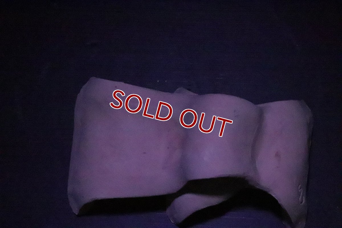 画像5: 【熱帯魚 シェルター】シェルタクラフタ 基本型SSDサイズ シェルター【1個 サンプル画像】(淡水) (5)