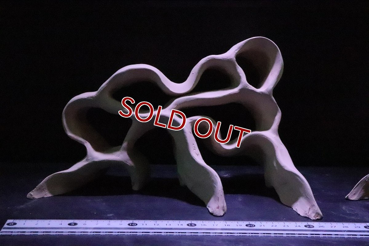 画像3: 【熱帯魚 シェルター】シェルタクラフタ  三又基本型 XLサイズ シェルター【1個 サンプル画像】(淡水) (3)