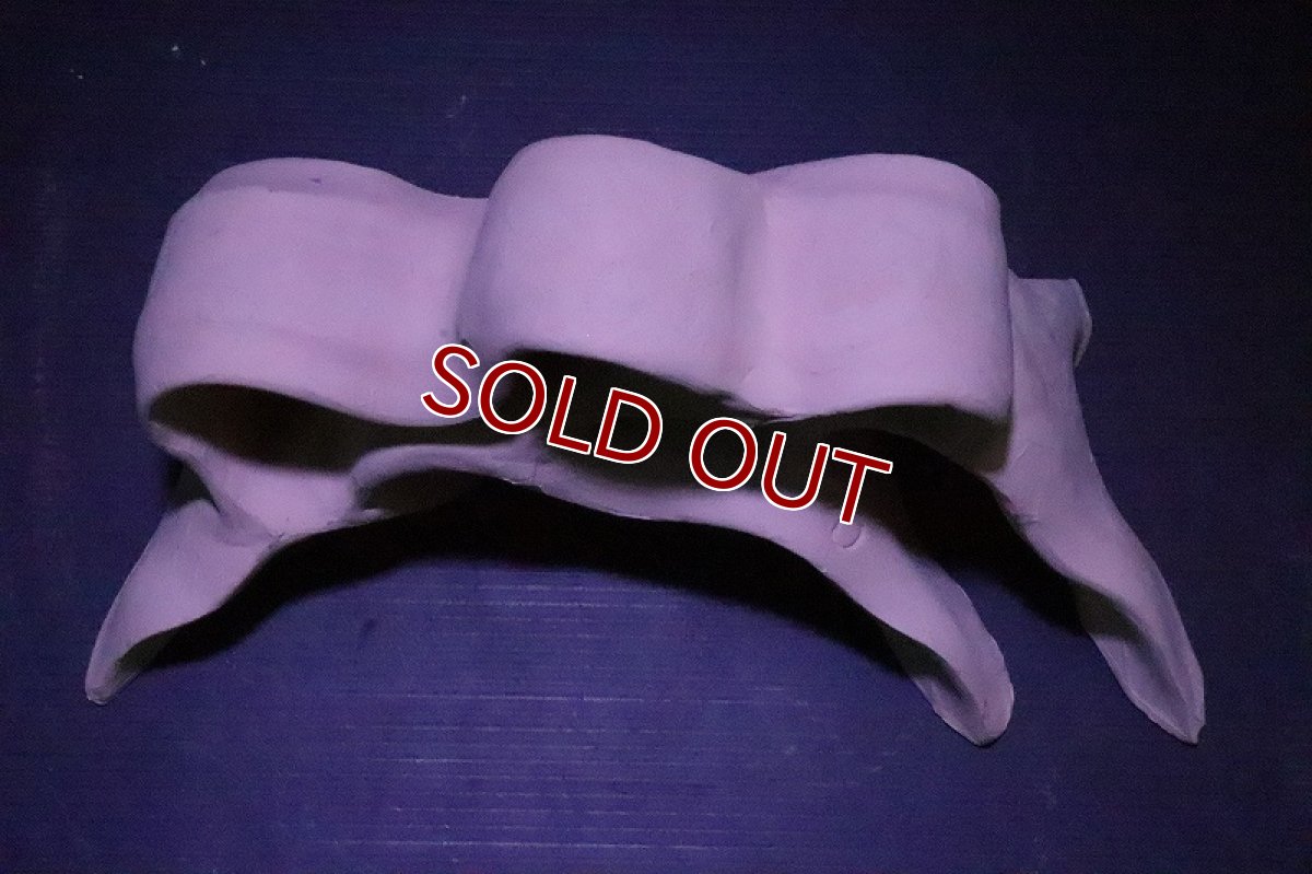 画像6: 【熱帯魚 シェルター】シェルタクラフタ  三又基本型 Lサイズ シェルター【1個 サンプル画像】(淡水) (6)