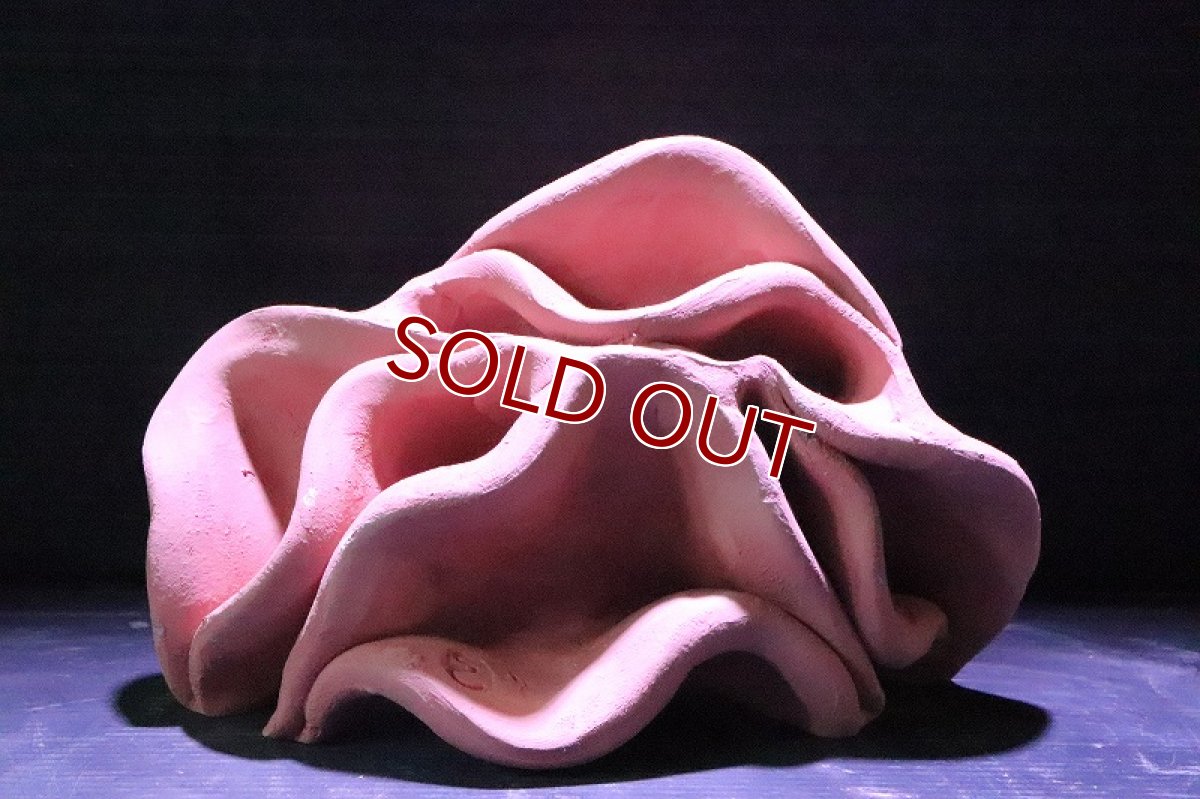 画像2: 【熱帯魚 シェルター】シェルタクラフタ  赤茶タイプ  どら焼き型 4連 シェルター【1個 サンプル画像】(淡水) (2)