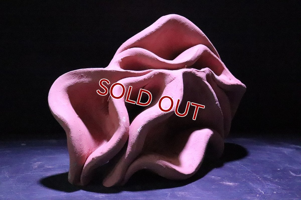 画像3: 【熱帯魚 シェルター】シェルタクラフタ  赤茶タイプ  どら焼き型 4連 シェルター【1個 サンプル画像】(淡水) (3)