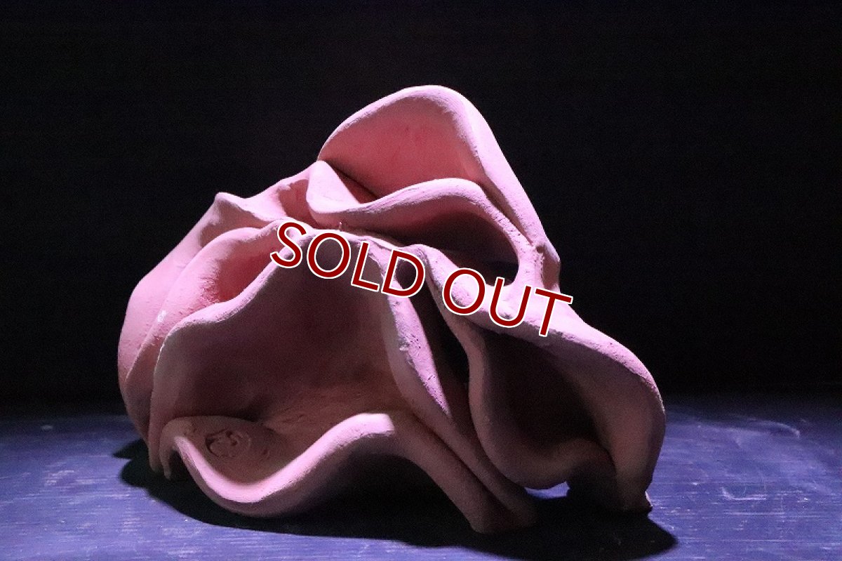 画像4: 【熱帯魚 シェルター】シェルタクラフタ  赤茶タイプ  どら焼き型 4連 シェルター【1個 サンプル画像】(淡水) (4)