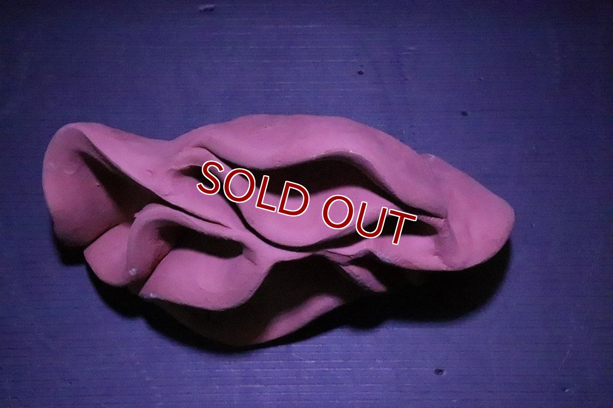 画像5: 【熱帯魚 シェルター】シェルタクラフタ  赤茶タイプ  どら焼き型 4連 シェルター【1個 サンプル画像】(淡水) (5)