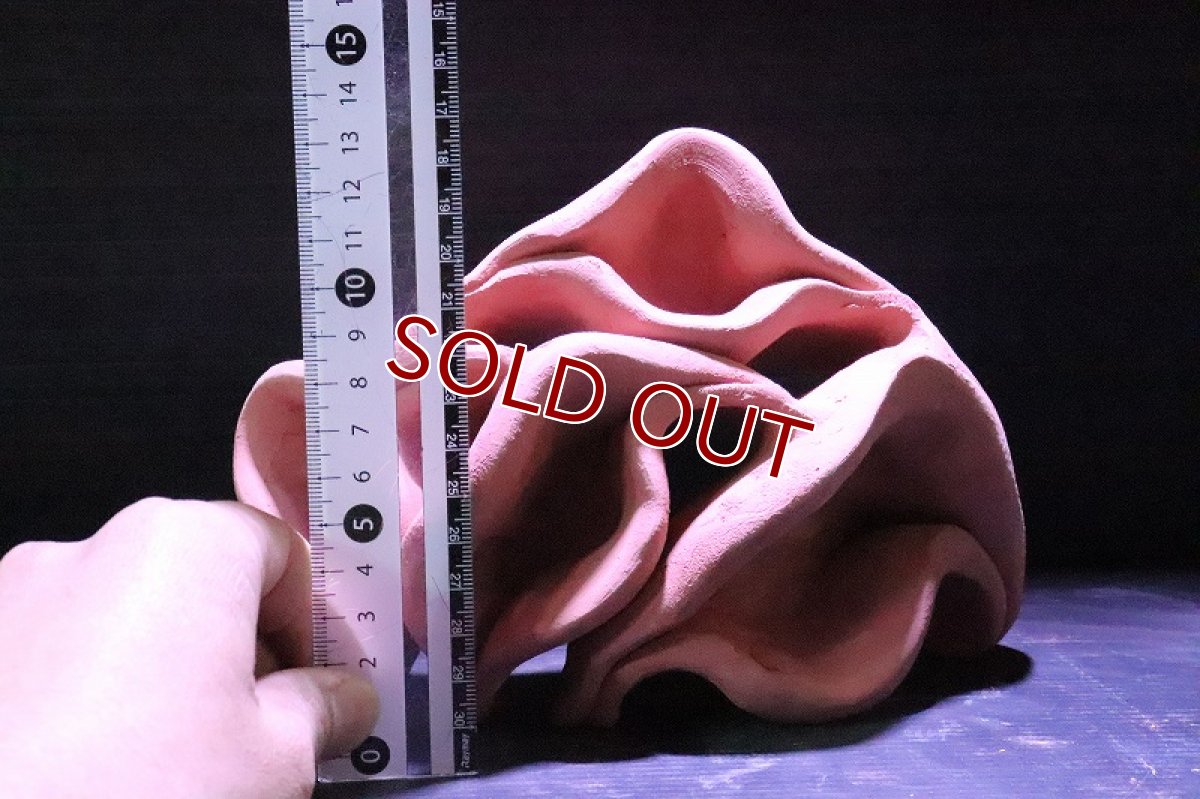 画像6: 【熱帯魚 シェルター】シェルタクラフタ  赤茶タイプ  どら焼き型 4連 シェルター【1個 サンプル画像】(淡水) (6)