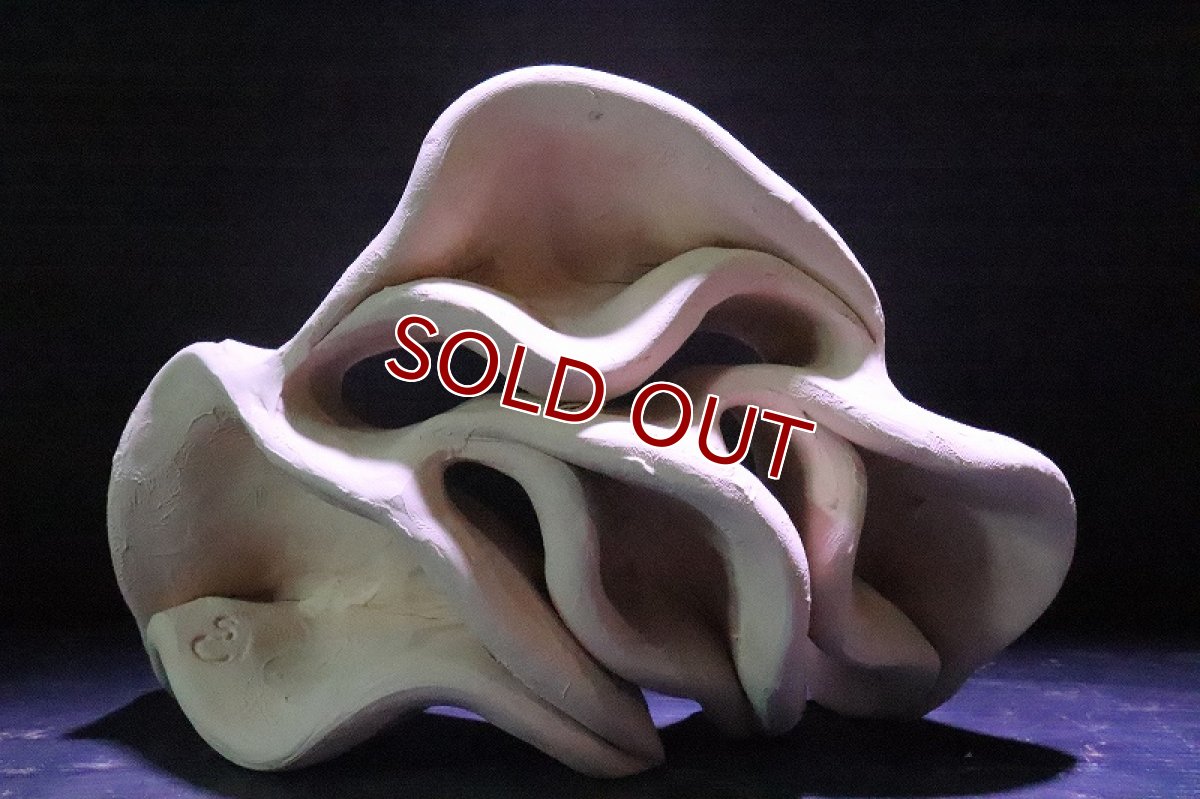 画像2: 【熱帯魚 シェルター】シェルタクラフタ どら焼き型 4連 シェルター【1個 サンプル画像】(淡水) (2)