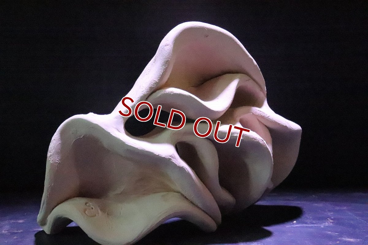 画像3: 【熱帯魚 シェルター】シェルタクラフタ どら焼き型 4連 シェルター【1個 サンプル画像】(淡水) (3)