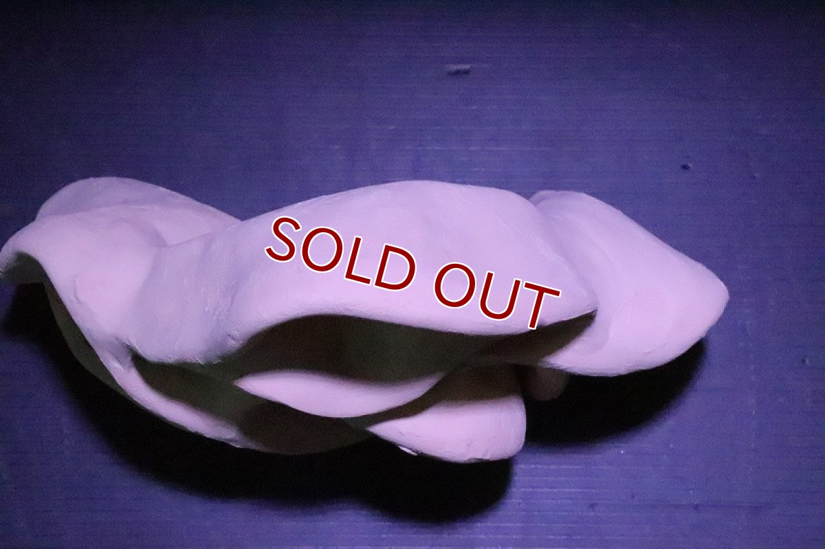 画像5: 【熱帯魚 シェルター】シェルタクラフタ どら焼き型 4連 シェルター【1個 サンプル画像】(淡水) (5)