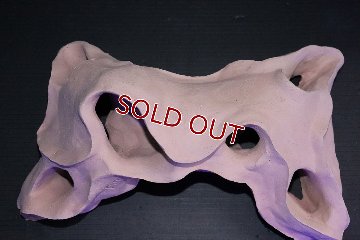 画像3: 【熱帯魚 シェルター】シェルタクラフタ 基本型TA Lサイズ シェルター【1個 サンプル画像】(淡水) (3)