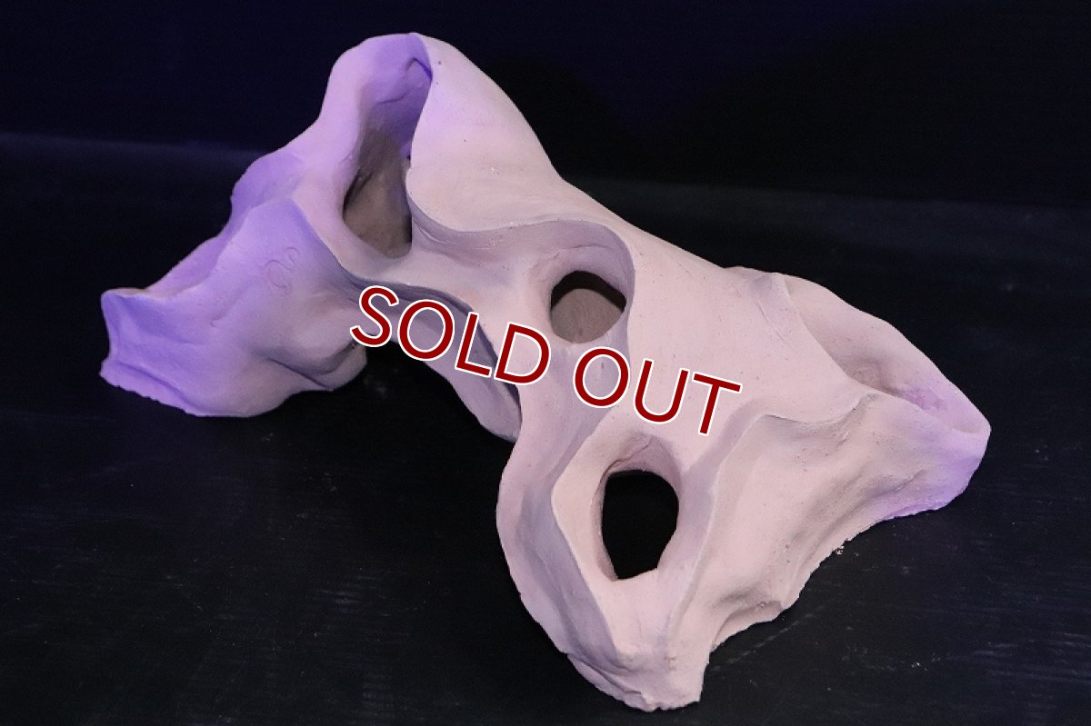 画像5: 【熱帯魚 シェルター】シェルタクラフタ 基本型TA Lサイズ シェルター【1個 サンプル画像】(淡水) (5)