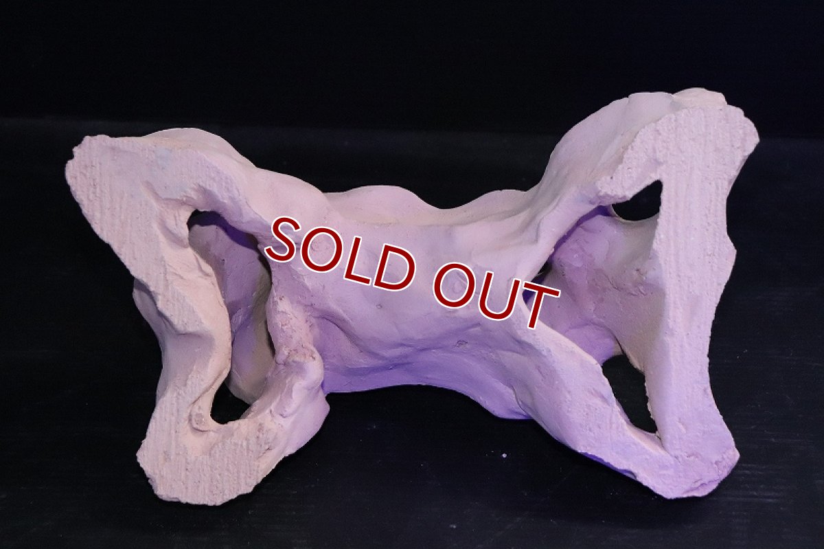 画像6: 【熱帯魚 シェルター】シェルタクラフタ 基本型TA Lサイズ シェルター【1個 サンプル画像】(淡水) (6)