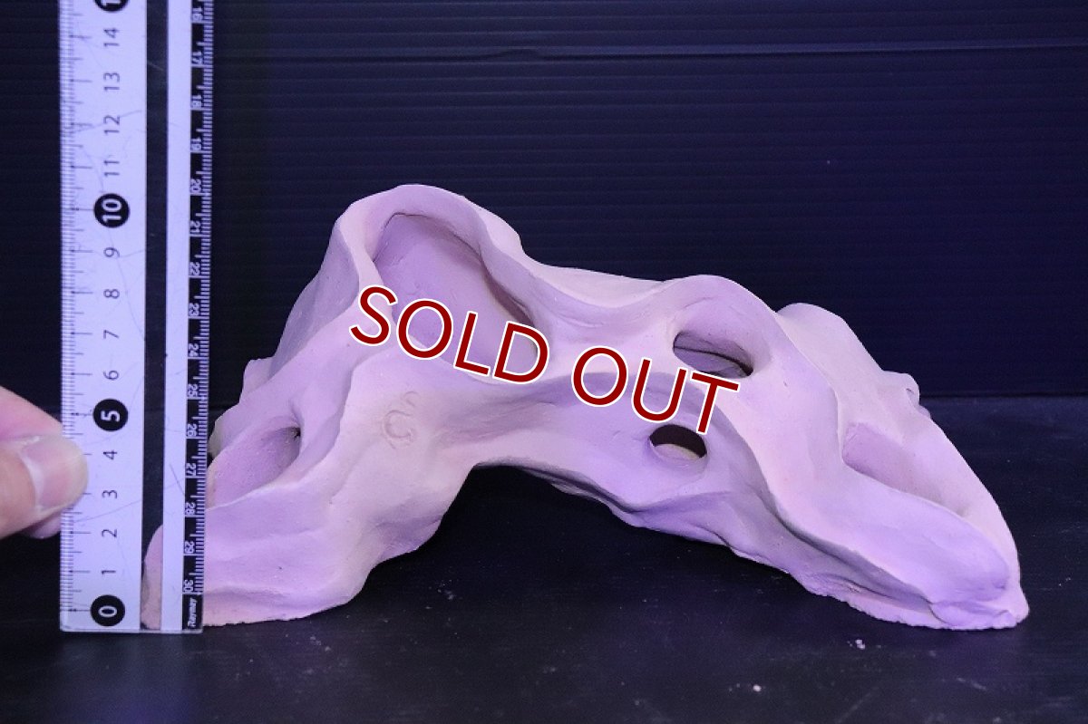 画像7: 【熱帯魚 シェルター】シェルタクラフタ 基本型TA Lサイズ シェルター【1個 サンプル画像】(淡水) (7)