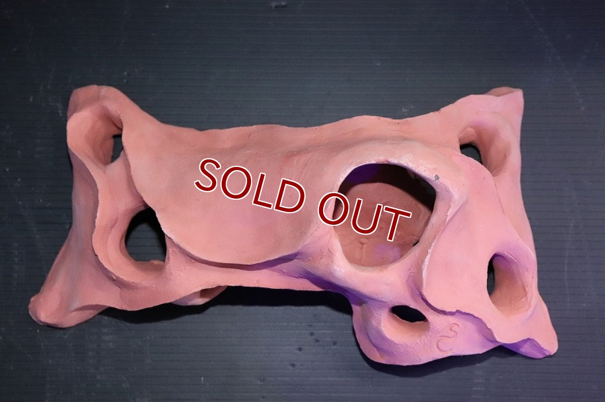 画像3: 【熱帯魚 シェルター】シェルタクラフタ 赤茶タイプ 基本型TA Lサイズ シェルター【1個 サンプル画像】(淡水) (3)