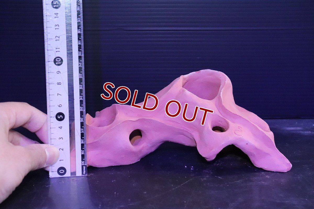 画像7: 【熱帯魚 シェルター】シェルタクラフタ 赤茶タイプ 基本型TA Lサイズ シェルター【1個 サンプル画像】(淡水) (7)