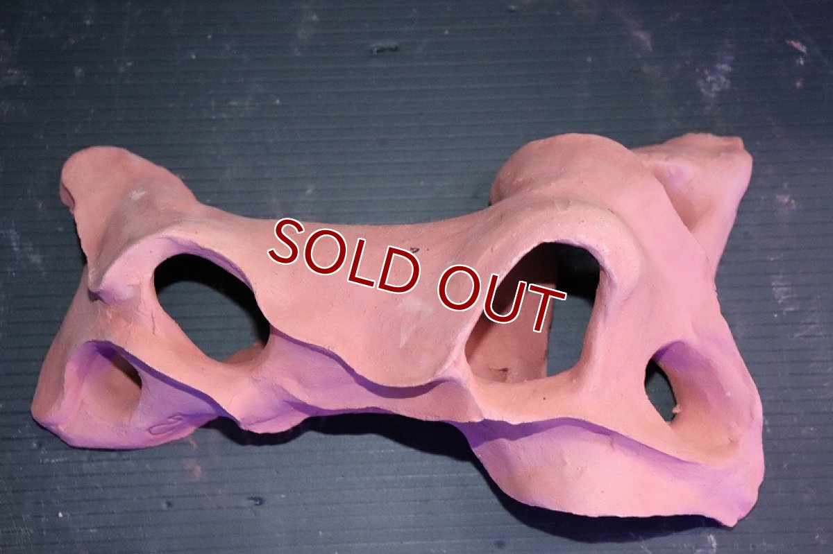 画像5: 【熱帯魚 シェルター】シェルタクラフタ 赤茶タイプ 基本型TA Mサイズ シェルター【１個 サンプル画像】(淡水) (5)