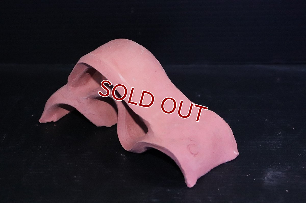 画像4: 【熱帯魚 シェルター】シェルタクラフタ 基本型 SSサイズ シェルター【1個 サンプル画像】(淡水) (4)