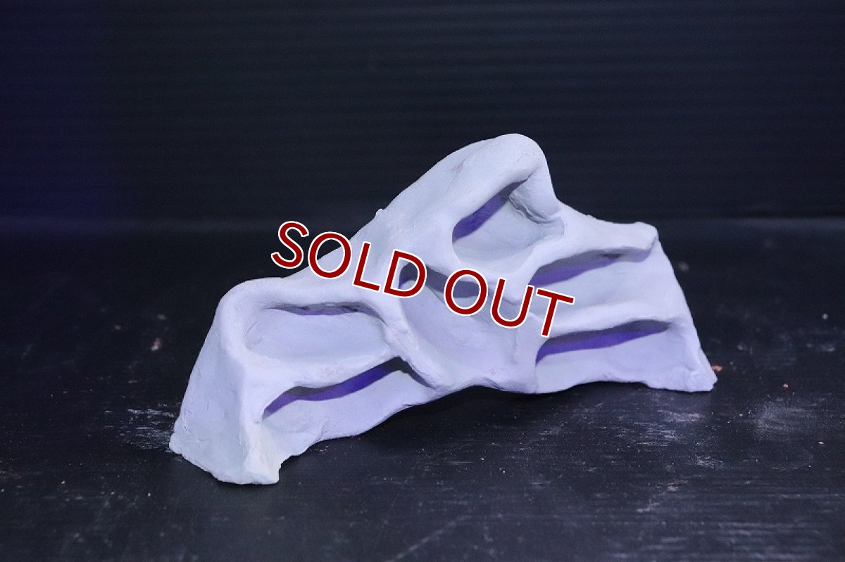 画像3: 【熱帯魚 シェルター】シェルタクラフタ グレータイプ アリの巣型 Sサイズ シェルター【１個 サンプル画像】(淡水) (3)