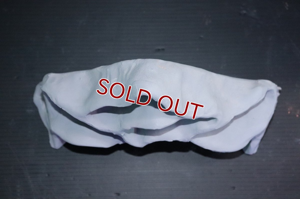 画像6: 【熱帯魚 シェルター】シェルタクラフタ グレータイプ アリの巣型 Mサイズ シェルター【1個 サンプル画像】(淡水) (6)