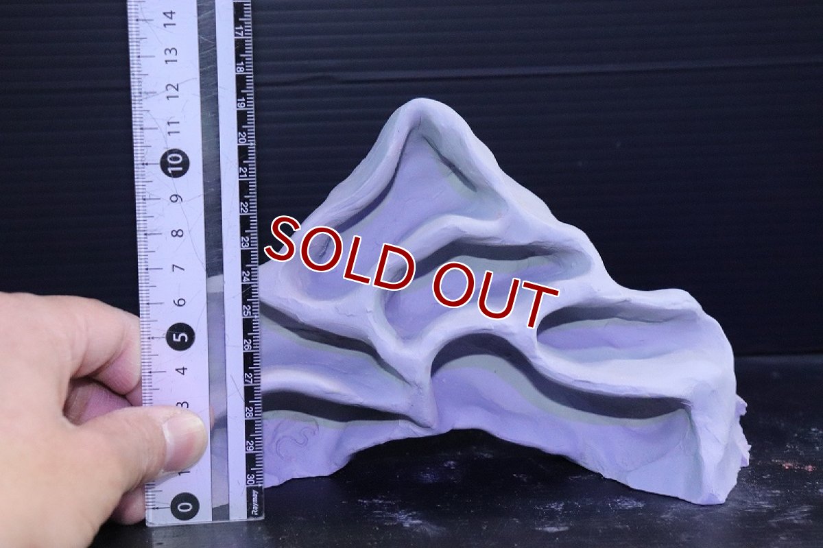 画像7: 【熱帯魚 シェルター】シェルタクラフタ グレータイプ アリの巣型 Mサイズ シェルター【1個 サンプル画像】(淡水) (7)