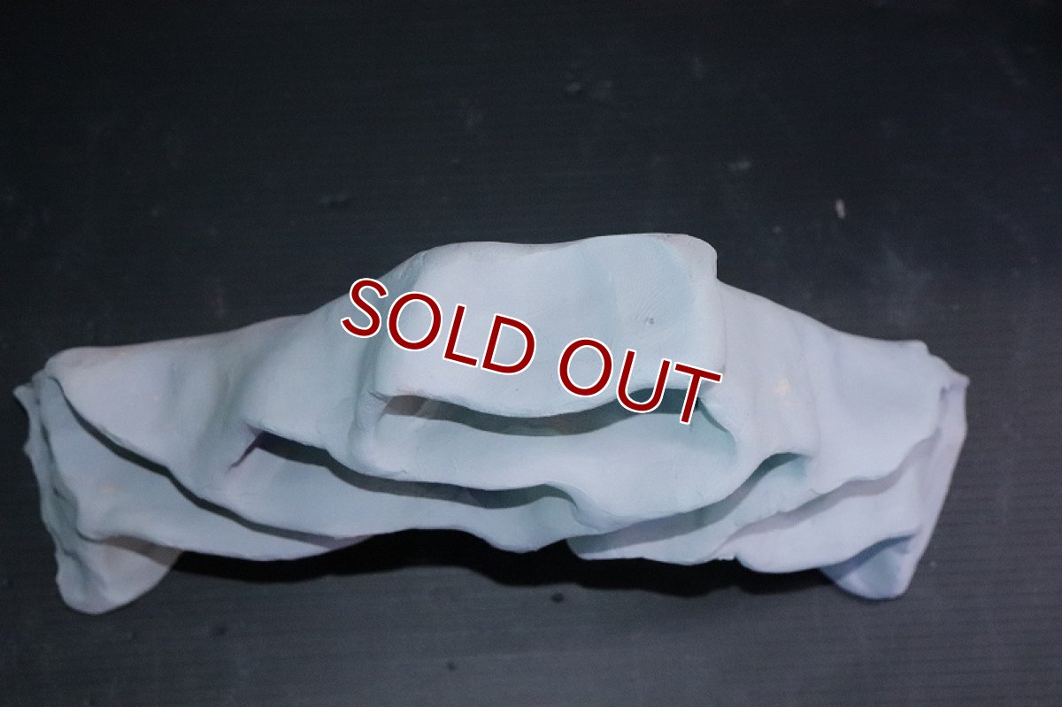 画像5: 【熱帯魚 シェルター】シェルタクラフタ グレータイプ アリの巣型 Lサイズ シェルター【1個 サンプル画像】(淡水) (5)