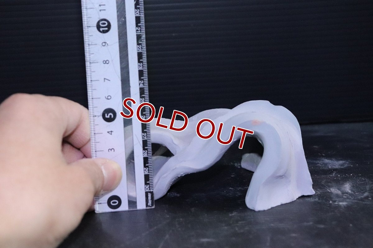 画像6: 【熱帯魚 シェルター】シェルタクラフタ グレータイプ 勾玉 シェルター【1個 サンプル画像】(淡水) (6)