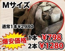 画像1: 【飼育用品・器具】数量限定爆安流木【Mサイズ】1本 (1)