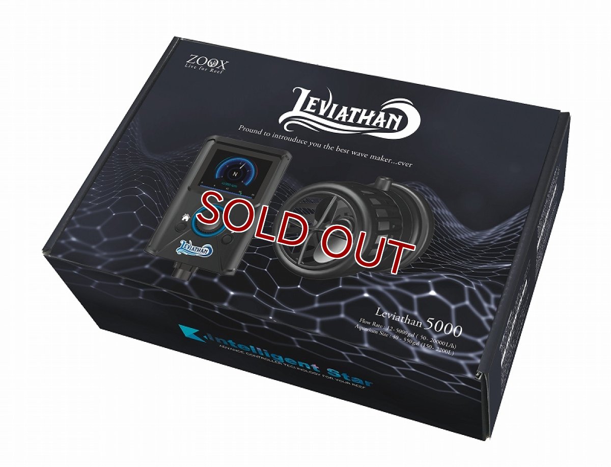 画像8: 【MMC企画】 ZOOX　リヴァイアサン5000 (8)
